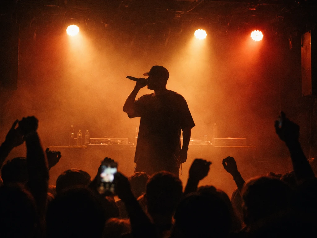 Silhouetted performer on a small club stage with warm lights and a cheering crowd in the foreground.
